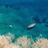 Voilier mouillé au-dessus de fonds marins visibles en Méditerranée